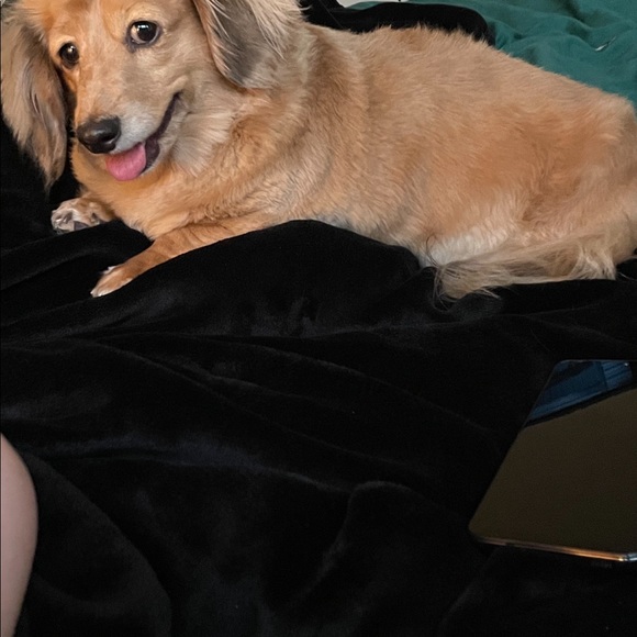 Meet your Posher, Lynn - Picture 9 of 15